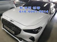 Á¦³×½Ã½º °¡¼Ö¸° 4WD 3.3T ½ºÆ÷Ã÷ AWD ½´ÇÁ¸²