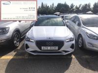 Á¦³×½Ã½º °¡¼Ö¸° 4WD 2.0T AWD ½´ÇÁ¸²