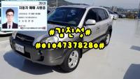 Çö´ë Åõ½Ñ (04³â~09³â) 2.0 CRDi µðÁ© 2WD MX