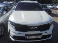 ±â¾Æ ½î·»Åä 4¼¼´ë(20³â~ÇöÀç) °¡¼Ö¸°+Àü±â 1600cc 2WD