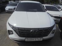 Çö´ë Åõ½Ñ (NX4)(20³â~ÇöÀç) µðÁ© 2.0 2WD