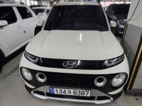 Çö´ë ij½ºÆÛ(21³â~ÇöÀç) °¡¼Ö¸° 1000cc Åͺ¸ ¸ð´ø