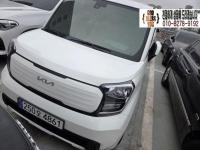 ±â¾Æ ´õ ´º ·¹ÀÌ(17³â~ÇöÀç) °¡¼Ö¸° 1000cc