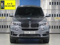 BMW X5 (F15) (13³â~ÇöÀç) xDrive 30d xDrive 30d