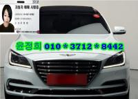 Á¦³×½Ã½º °¡¼Ö¸°2WD 3.3 GDI ·°¼Å¸®